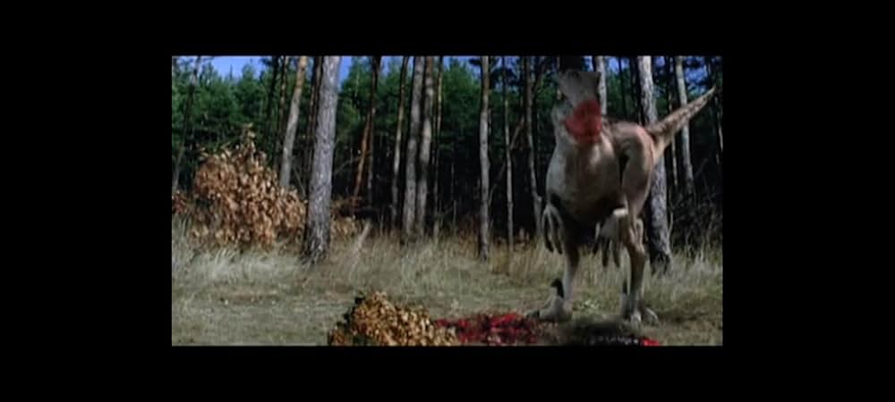 ラプター・アイランドの画像