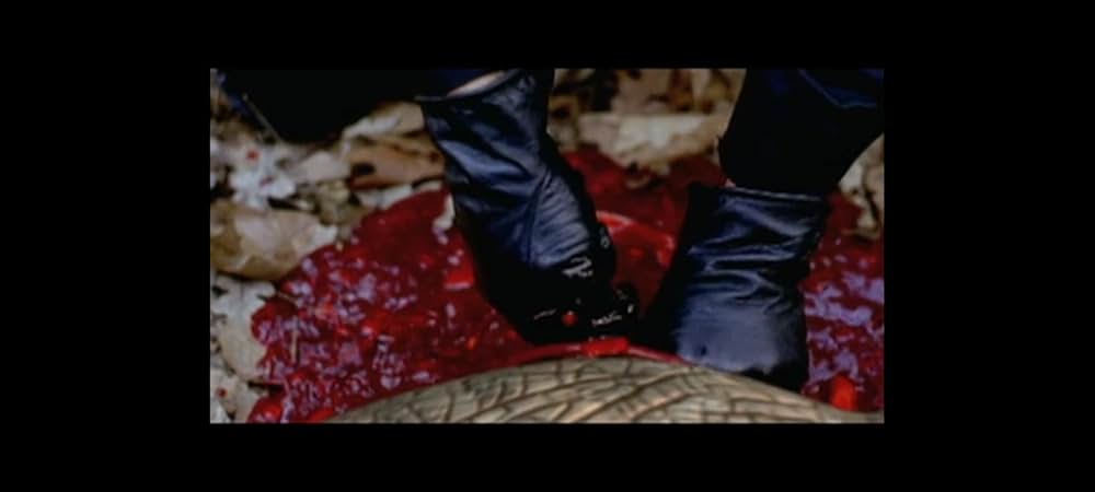 ラプター・アイランドの画像