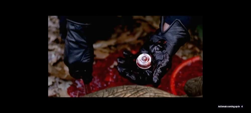 ラプター・アイランドの画像