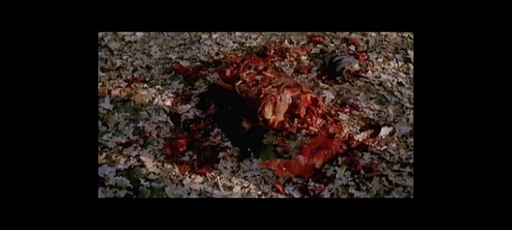 ラプター・アイランドの画像