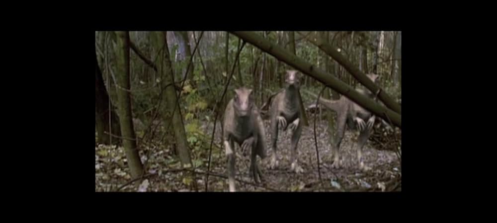 ラプター・アイランドの画像