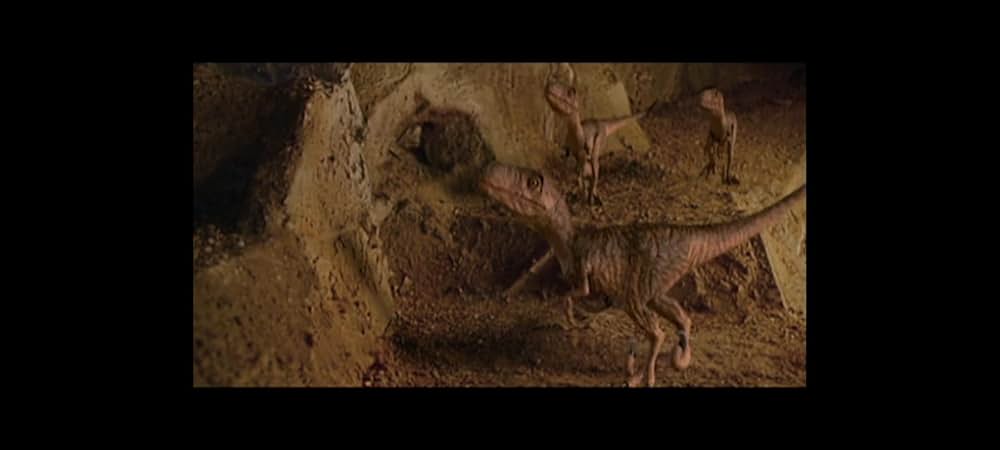 ラプター・アイランドの画像