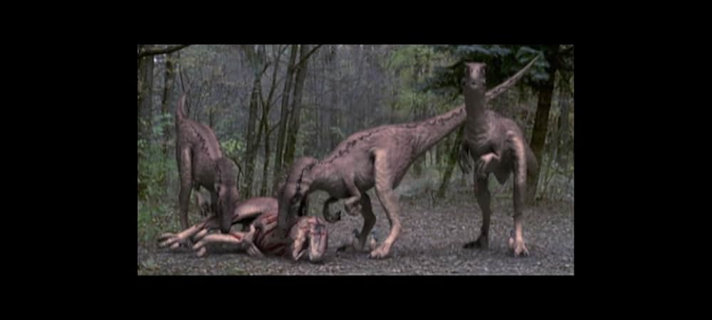 ラプター・アイランドの画像