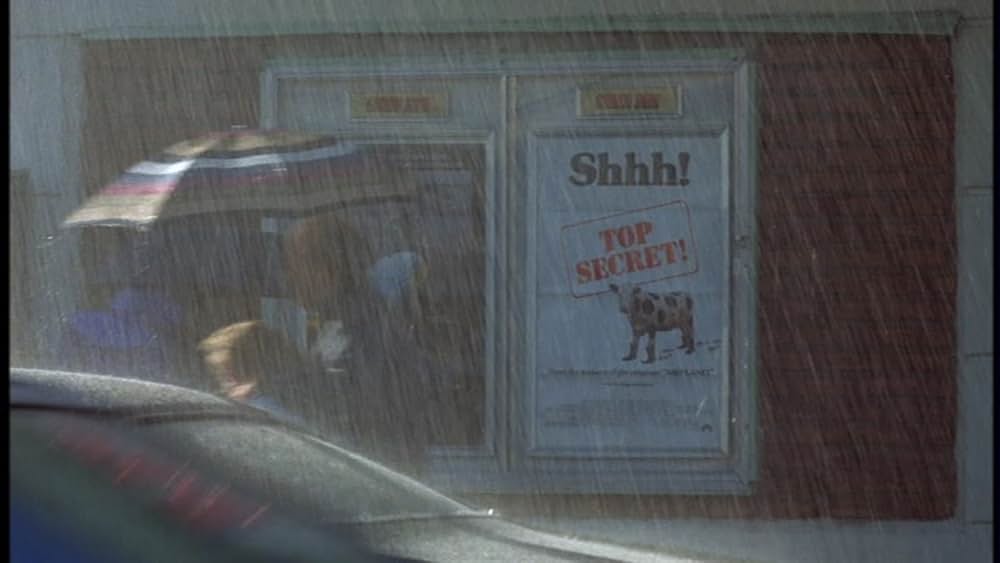 クレイジー・ファミリー／太陽がめいっぱいの画像