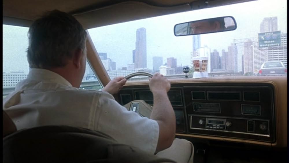 クレイジー・ファミリー／太陽がめいっぱいの画像