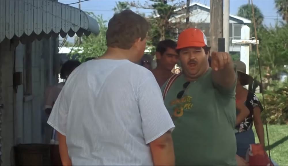 クレイジー・ファミリー／太陽がめいっぱいの画像