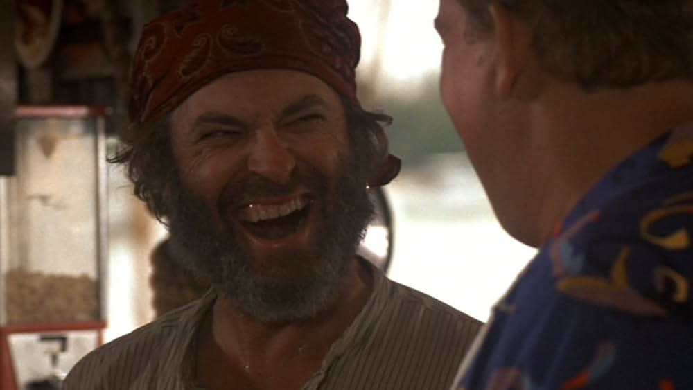 クレイジー・ファミリー／太陽がめいっぱいの画像