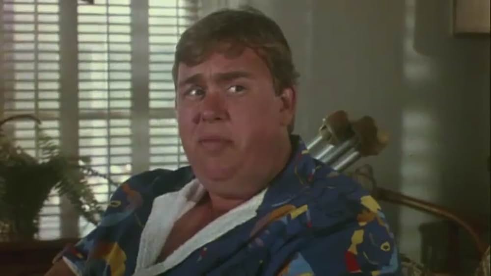 クレイジー・ファミリー／太陽がめいっぱいの画像