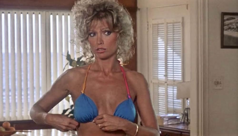 クレイジー・ファミリー／太陽がめいっぱいの画像