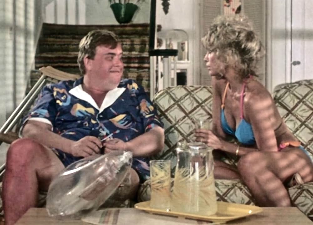 クレイジー・ファミリー／太陽がめいっぱいの画像