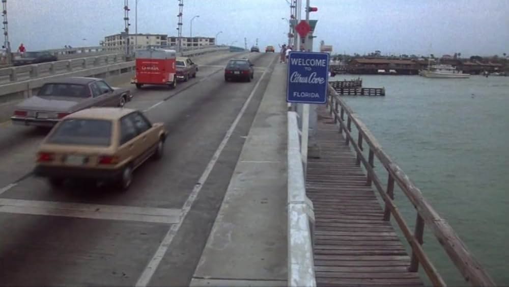 クレイジー・ファミリー／太陽がめいっぱいの画像