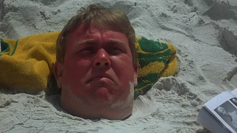 クレイジー・ファミリー／太陽がめいっぱいの画像