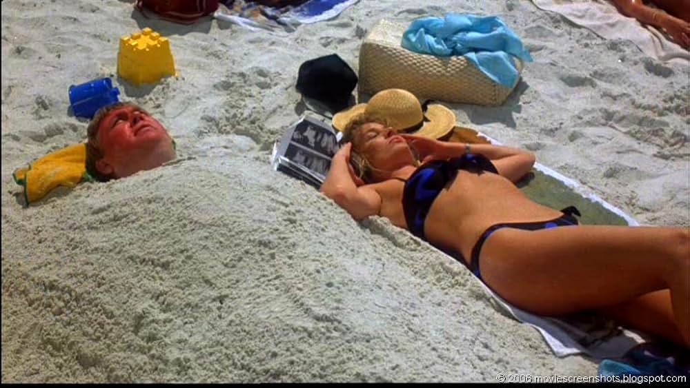 クレイジー・ファミリー／太陽がめいっぱいの画像