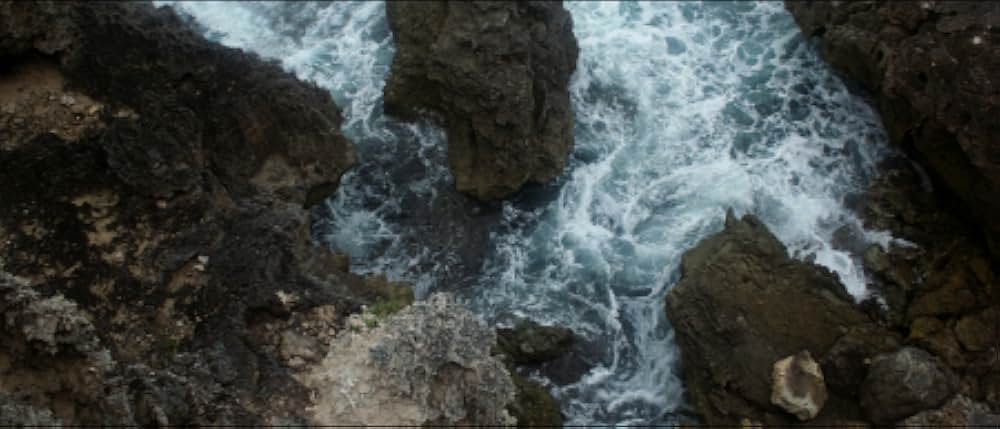 ハーレクィンの画像