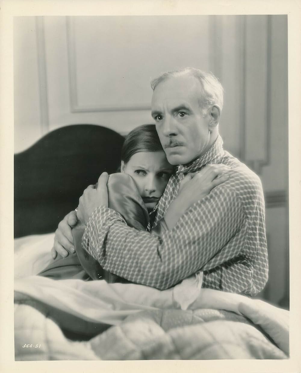 野生の蘭の画像