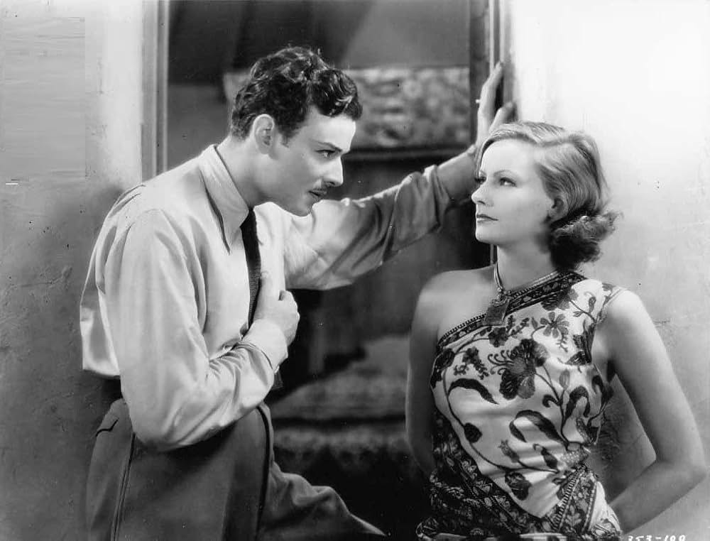 野生の蘭の画像