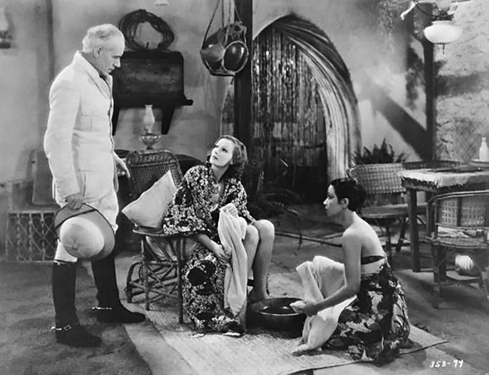 野生の蘭の画像