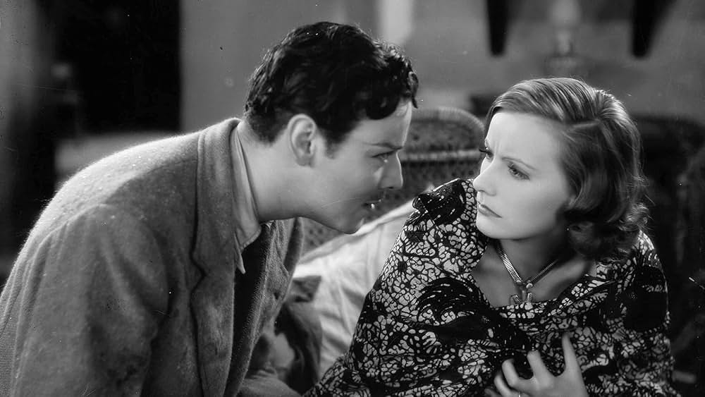 野生の蘭の画像