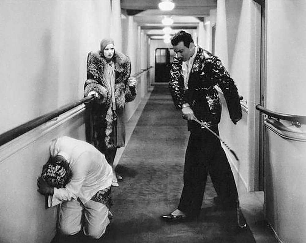 野生の蘭の画像