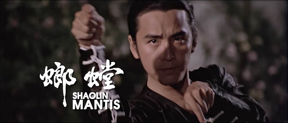 激突！螳螂拳の画像