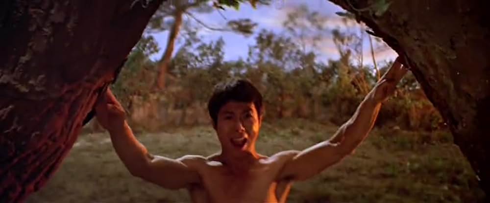 マッドクンフー猿拳の画像