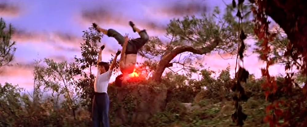 マッドクンフー猿拳の画像