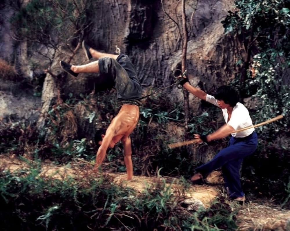 マッドクンフー猿拳の画像