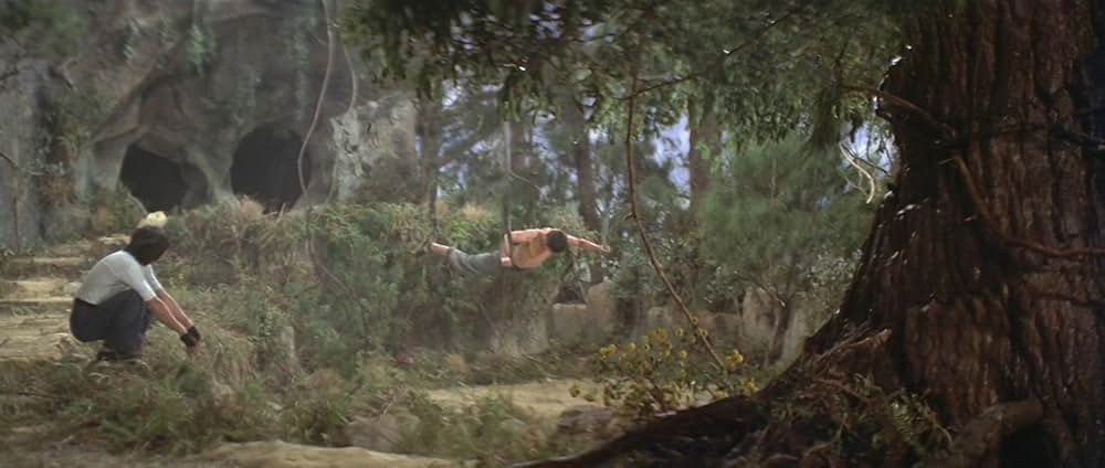 マッドクンフー猿拳の画像