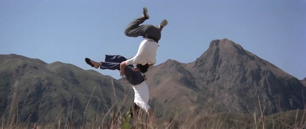 マッドクンフー猿拳の画像