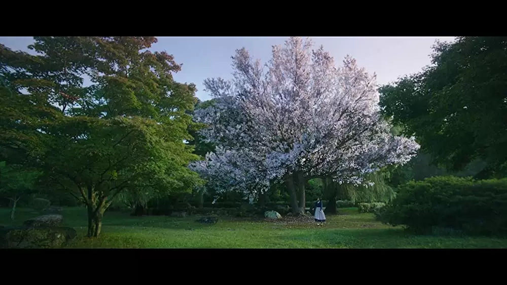 「お嬢さん」の画像