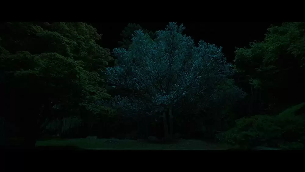 「お嬢さん」の画像