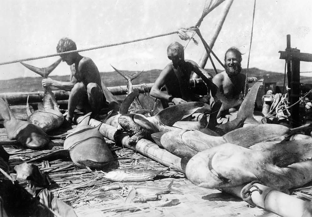 コン・ティキ（原題）の画像