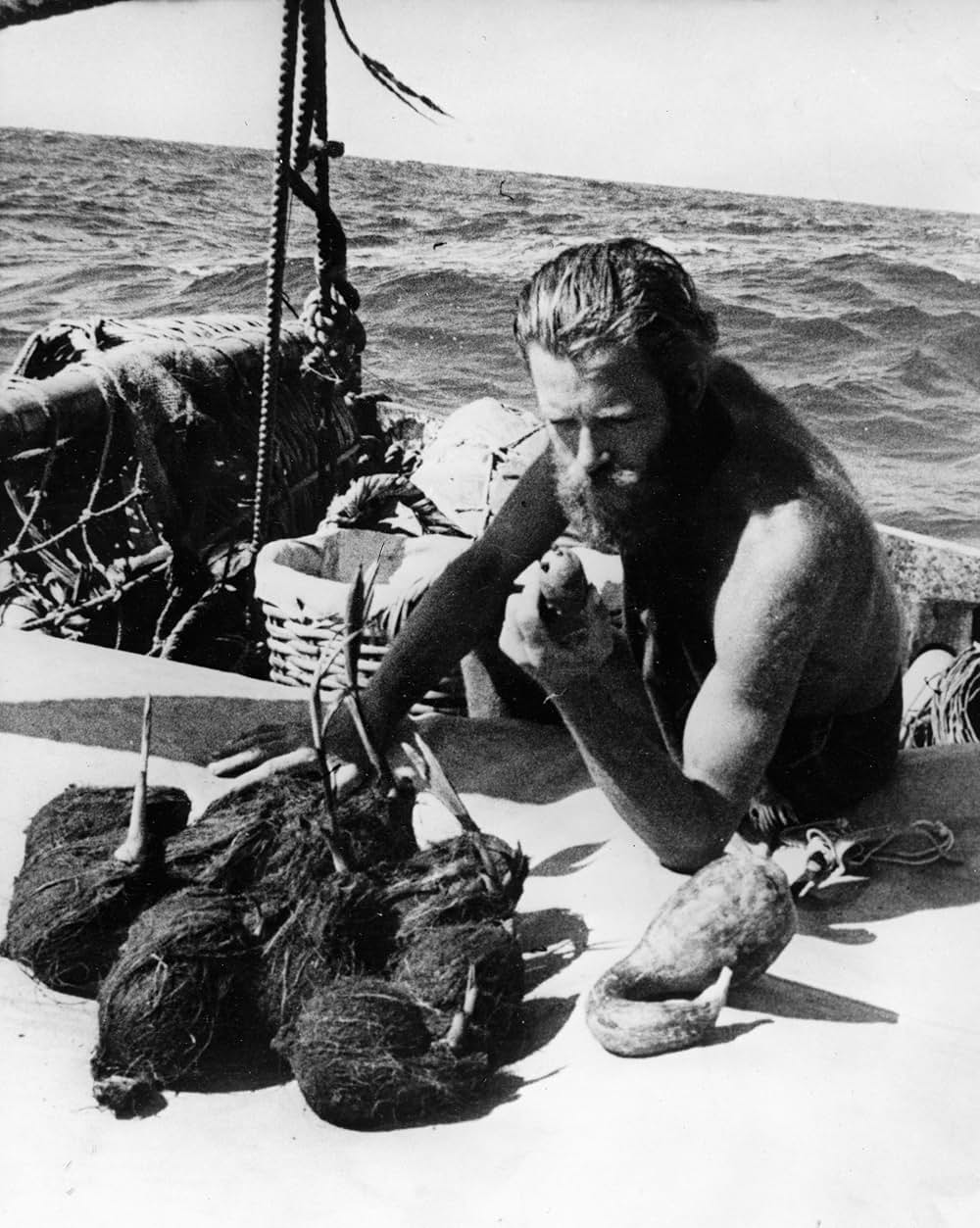 コン・ティキ（原題）の画像