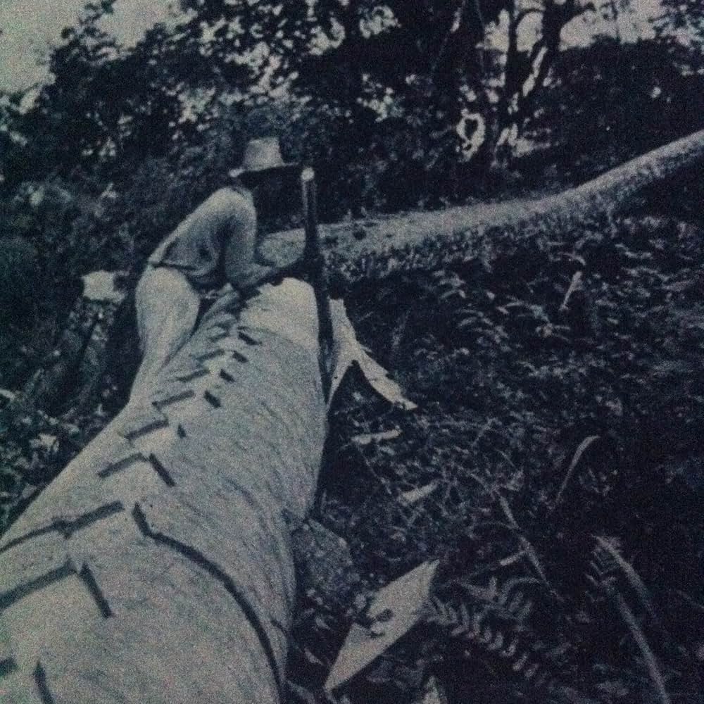 コン・ティキ（原題）の画像