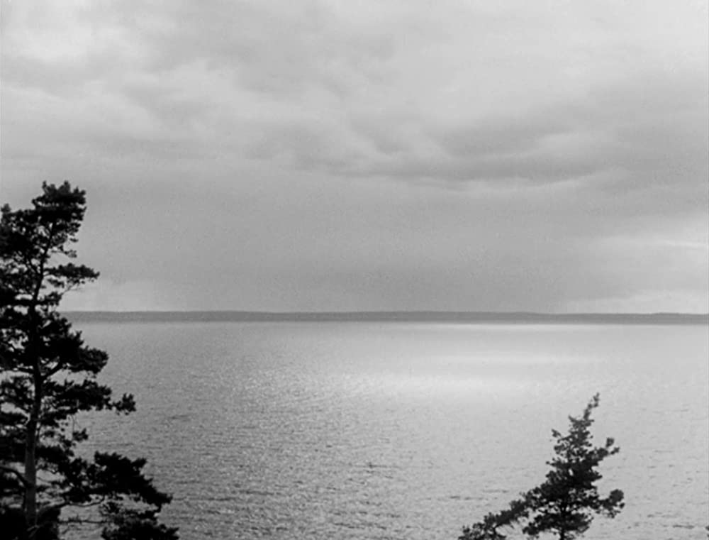 野いちごの画像