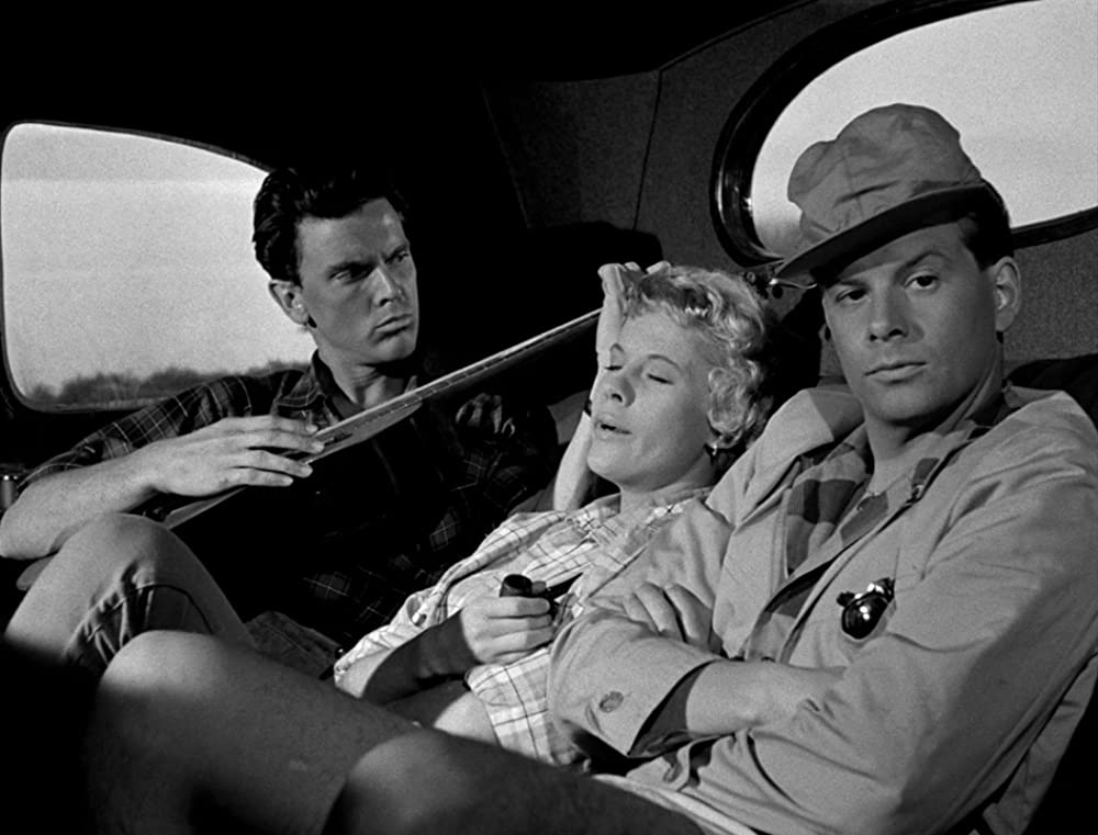 野いちごの画像