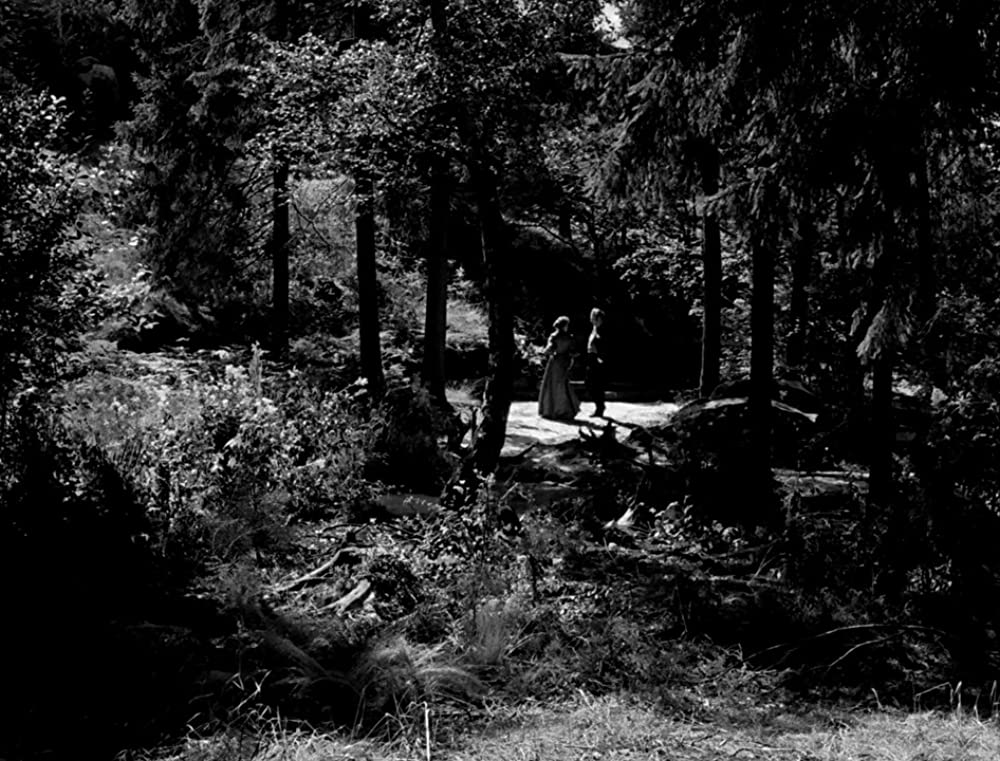 「野いちご」Åke Fridell & Gertrud Fridhの画像