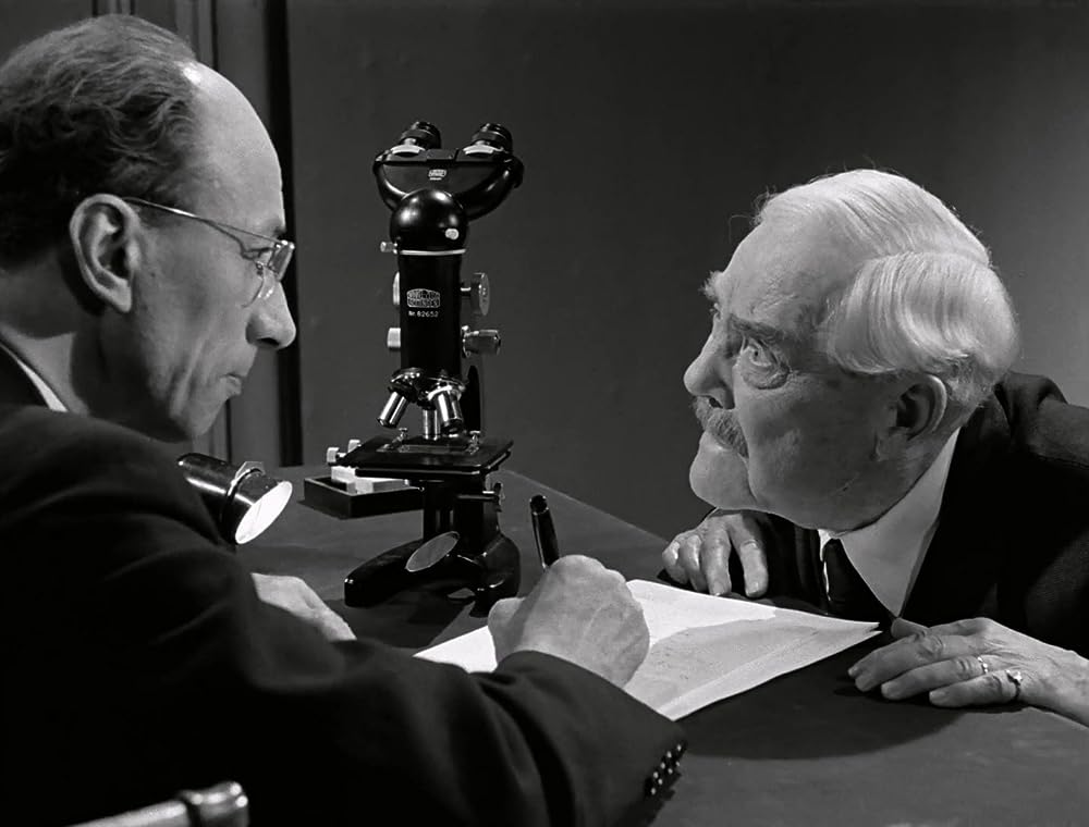 野いちごの画像