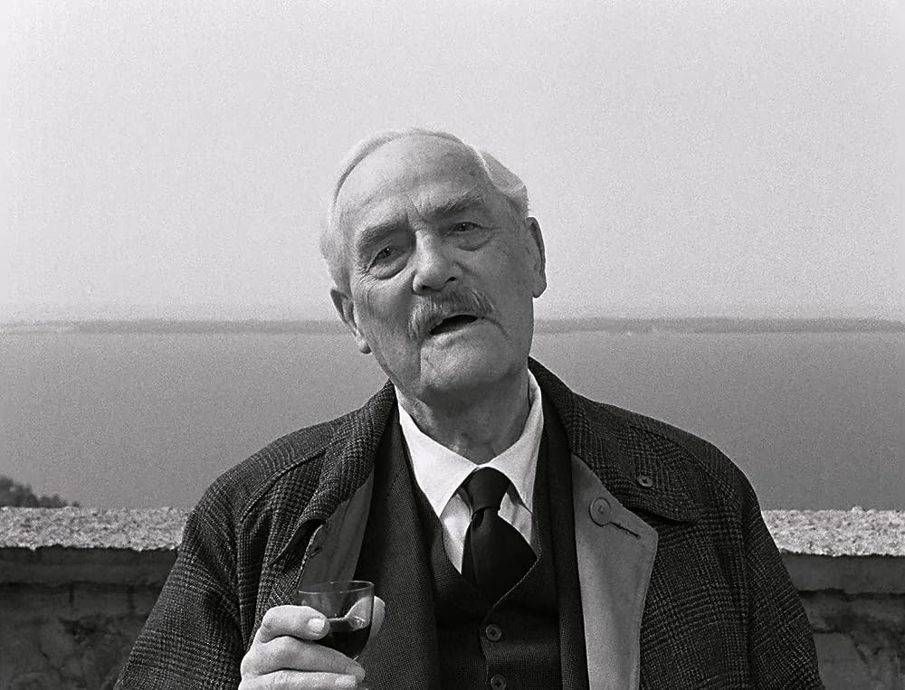 「野いちご」ビクトル・シェストレムの画像