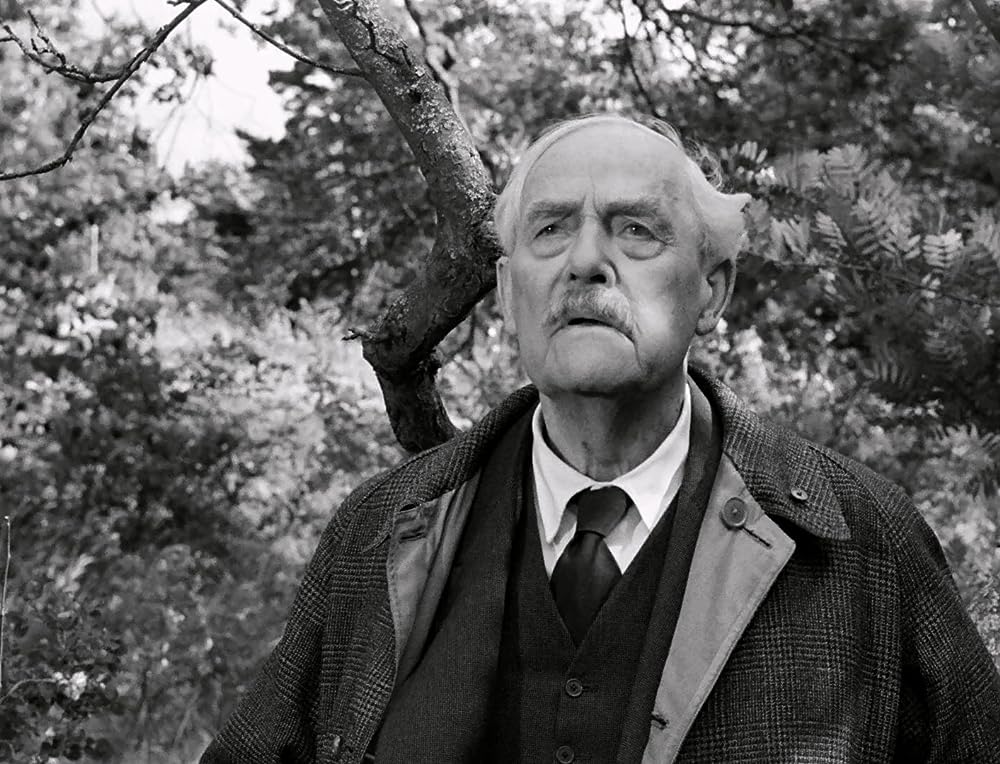 野いちごの画像