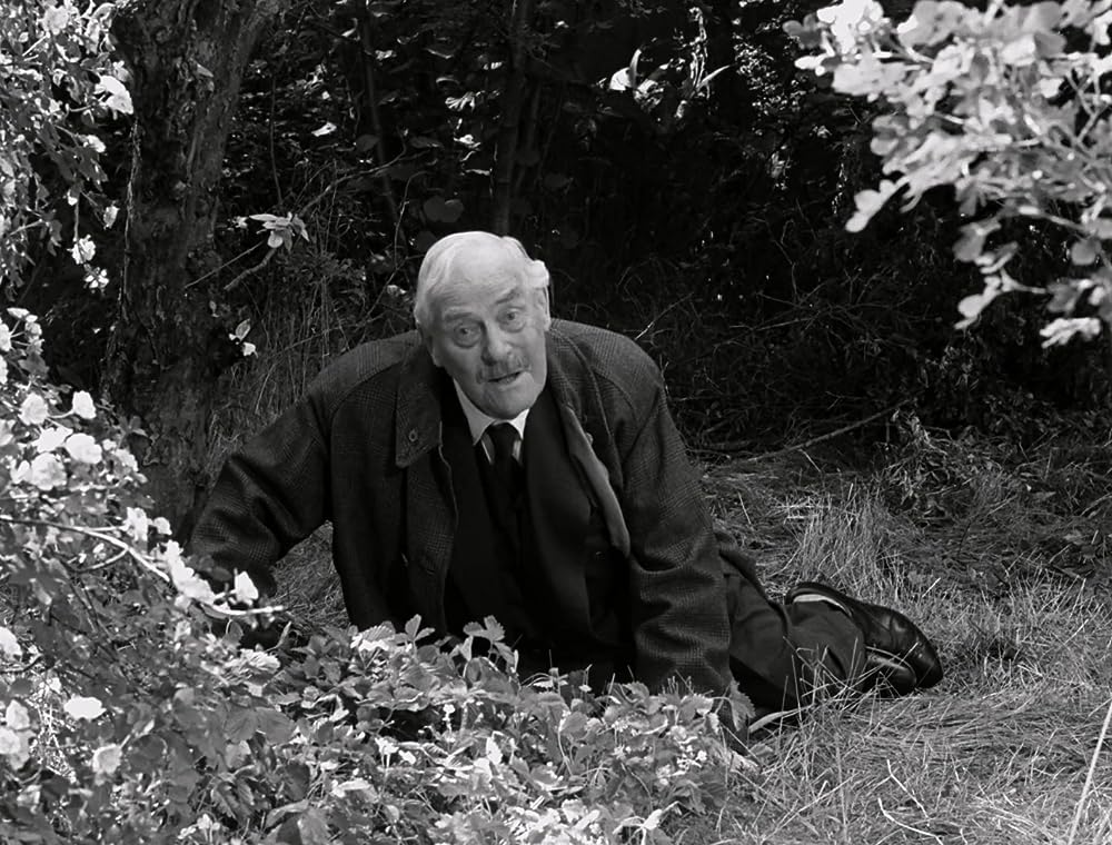 「野いちご」ビクトル・シェストレムの画像