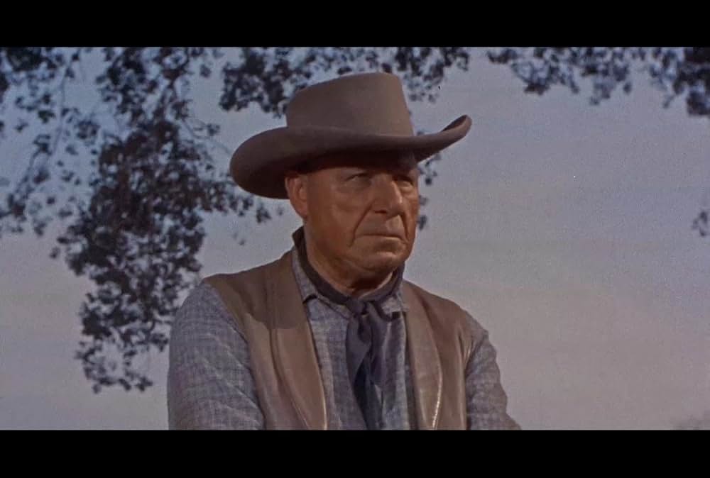 捨身の一撃の画像