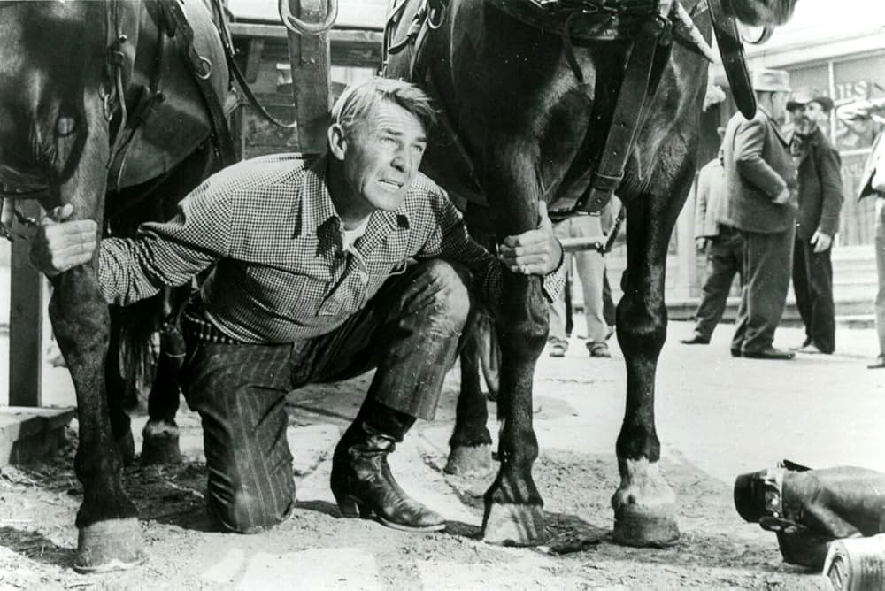 捨身の一撃の画像