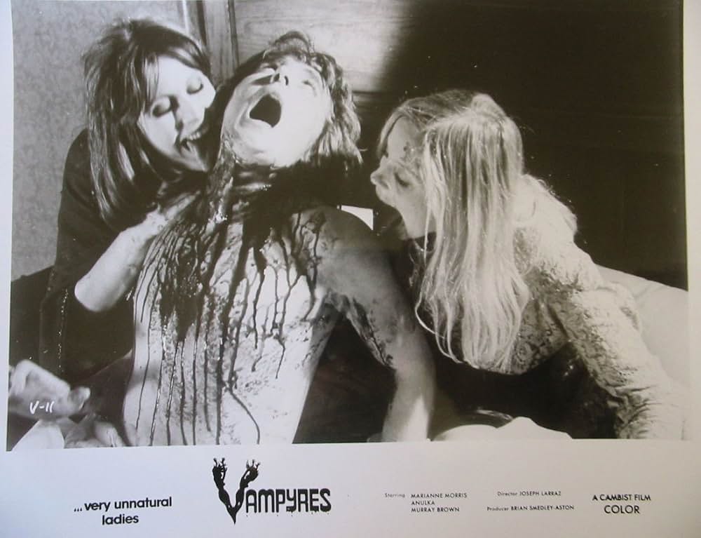 ドーターズ・オブ・ドラキュラ／吸血淫乱姉妹の画像