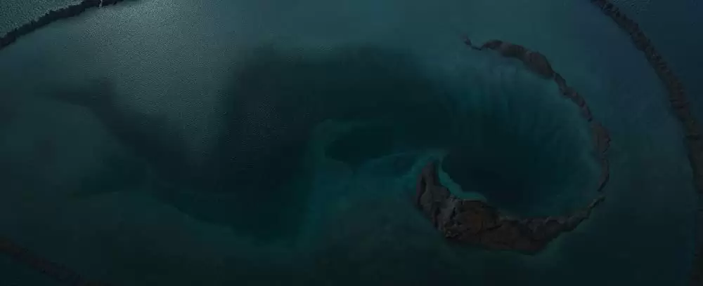 モアナと伝説の海の画像