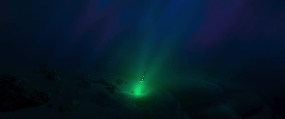 モアナと伝説の海の画像