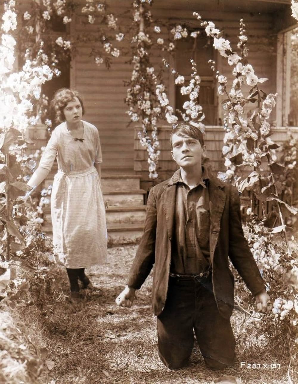 乗合馬車の画像