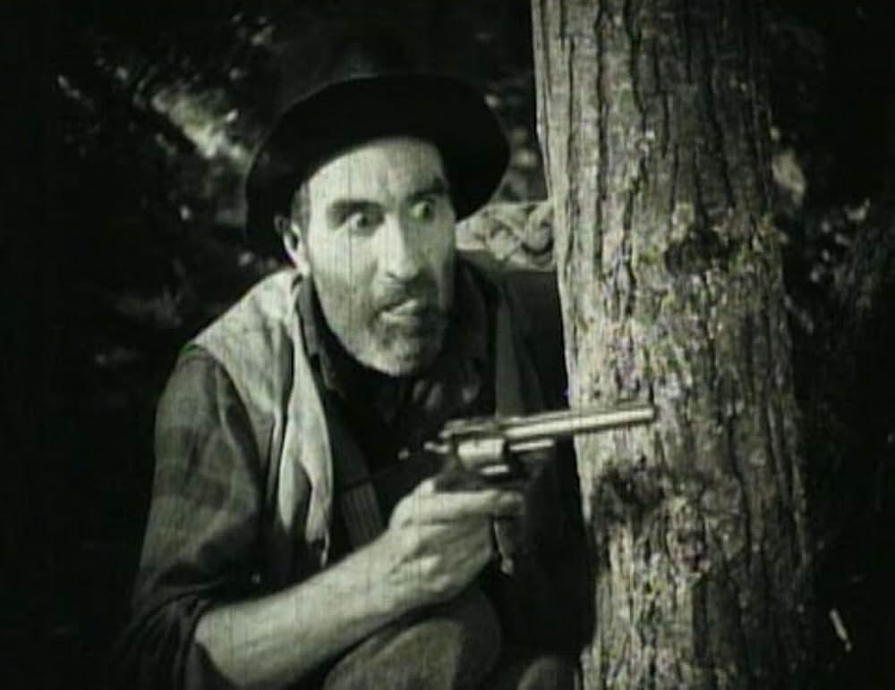 乗合馬車の画像