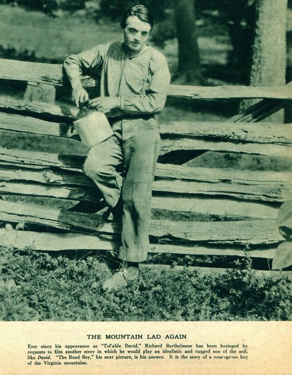 乗合馬車の画像