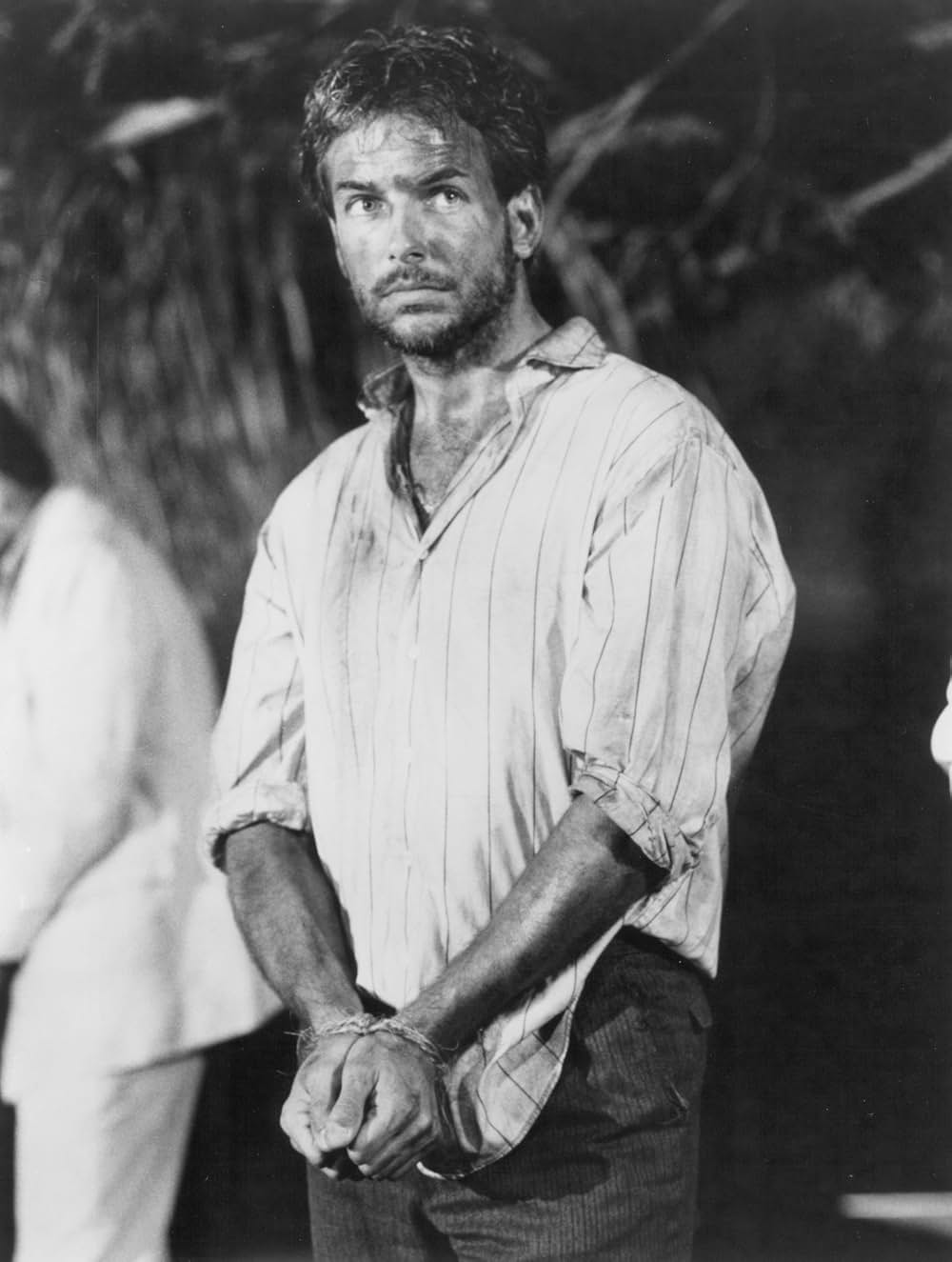 ハリー奪還の画像